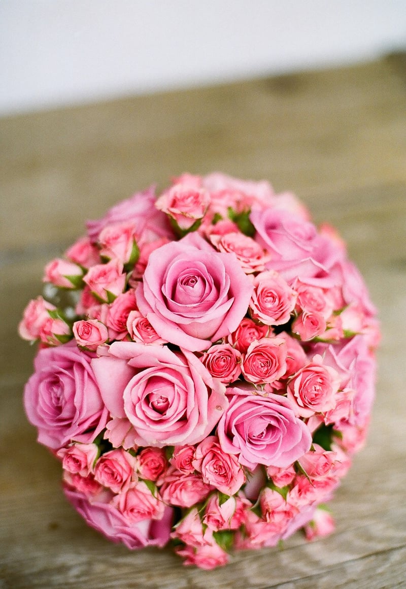 Autumn Flowers